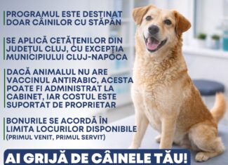 caini cluj campanie