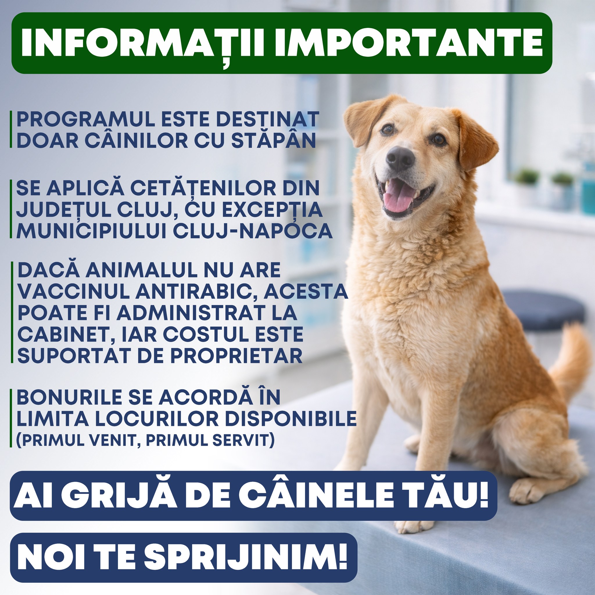 caini cluj campanie