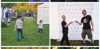 folk cluj camping colina cluj folk fest 2026