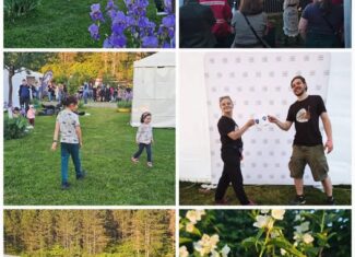 folk cluj camping colina cluj folk fest 2026