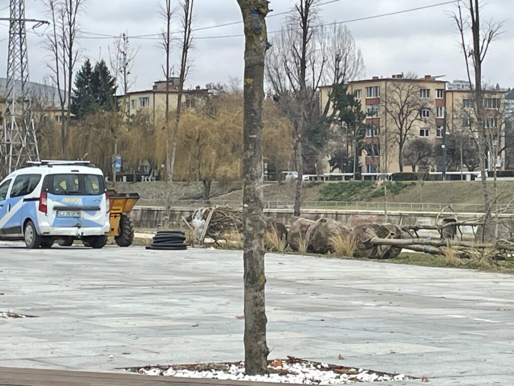 somes copaci uscati inlocuiti 2024 luna decembrie