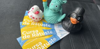 cursa ratustelor pe somes