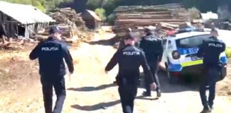 lemne politia huedin captura video 14 mai