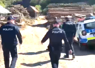 lemne politia huedin captura video 14 mai