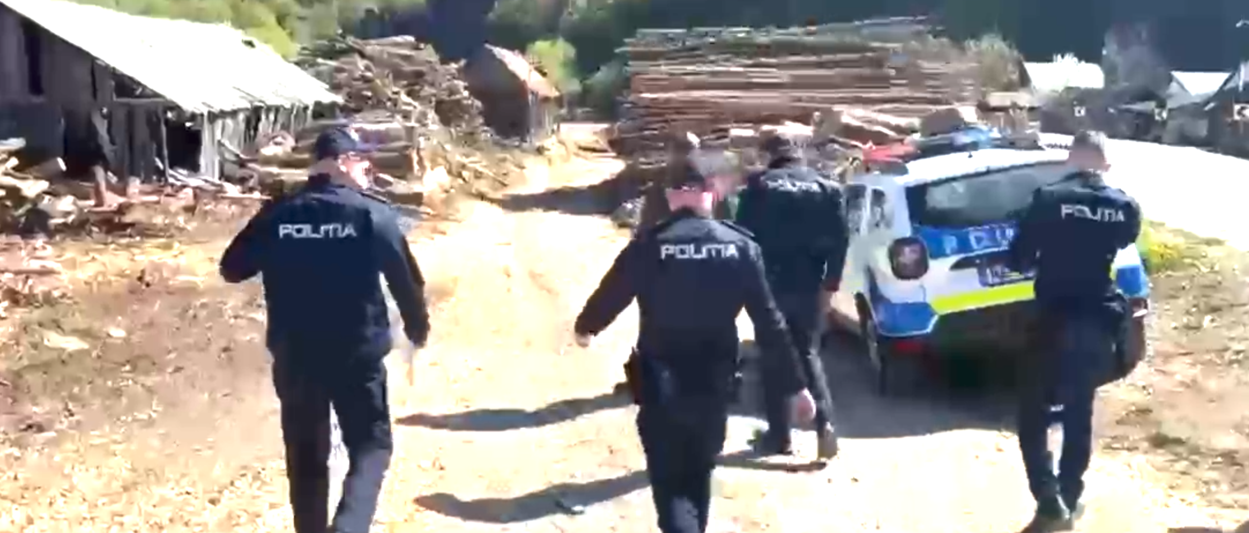 lemne politia huedin captura video 14 mai