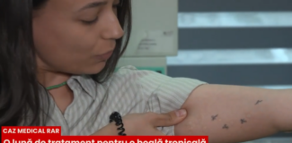 Leishmanioza captura tvr cluj