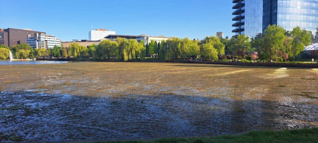lacuri cluj iulius mall gherogheni