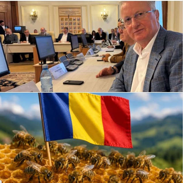 lapusan apicultori stiri ajutor stat albine