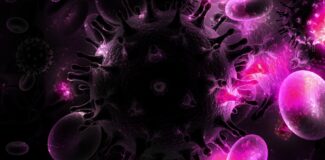 virusul HIV / sursa pixabay.com