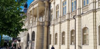 muzeul de arta cluj 2