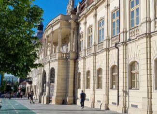 muzeul de arta cluj 2