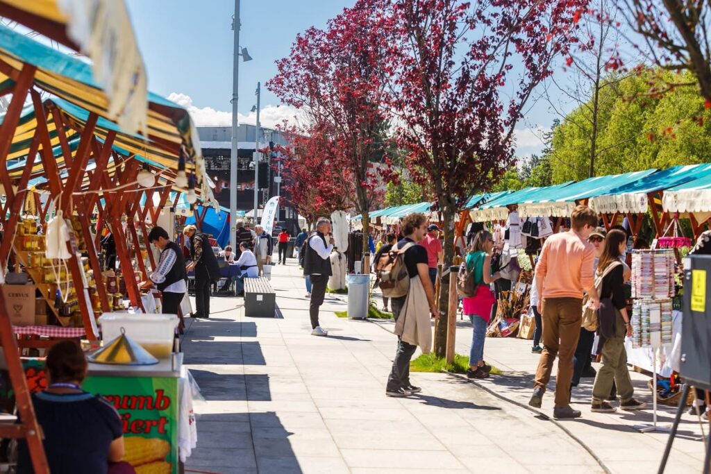 producatori romania cluj