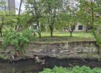 canalul morii cluj