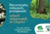 tur ghidat arbori remarcabili cluj faget