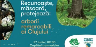 tur ghidat arbori remarcabili cluj faget