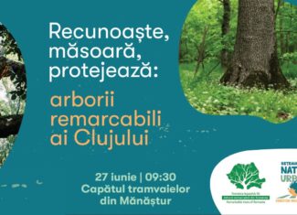 tur ghidat arbori remarcabili cluj faget