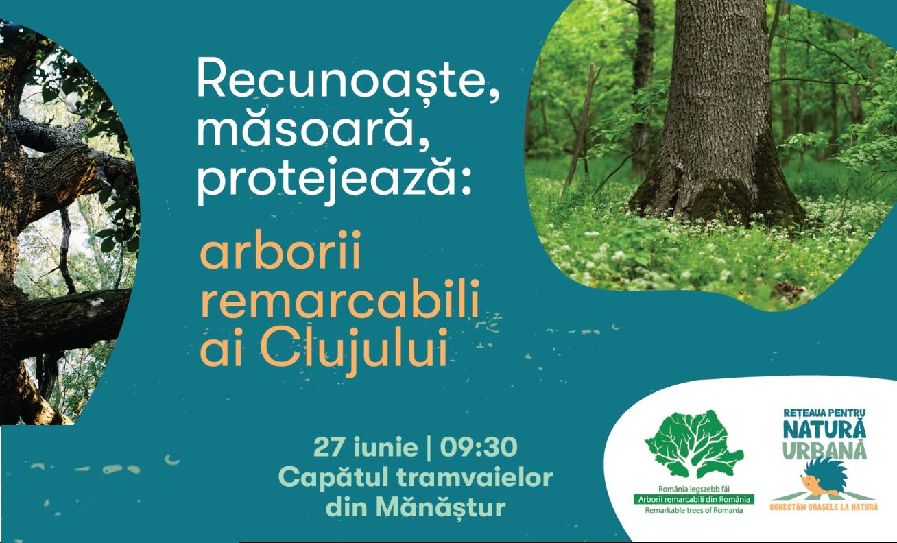 tur ghidat arbori remarcabili cluj faget