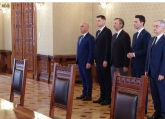 pnl consultari cotroceni guvern