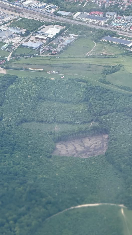 hoia defrisari padure cluj
