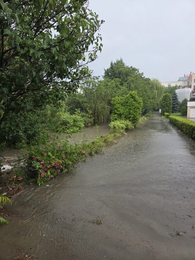 inundatii ciresilor cluj