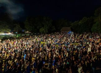public 2026 jazz la cluj parcul etnografic romulus vuia