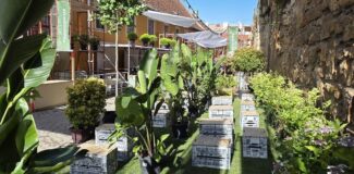 mobilier urban piata de flori strada potaissa cluj