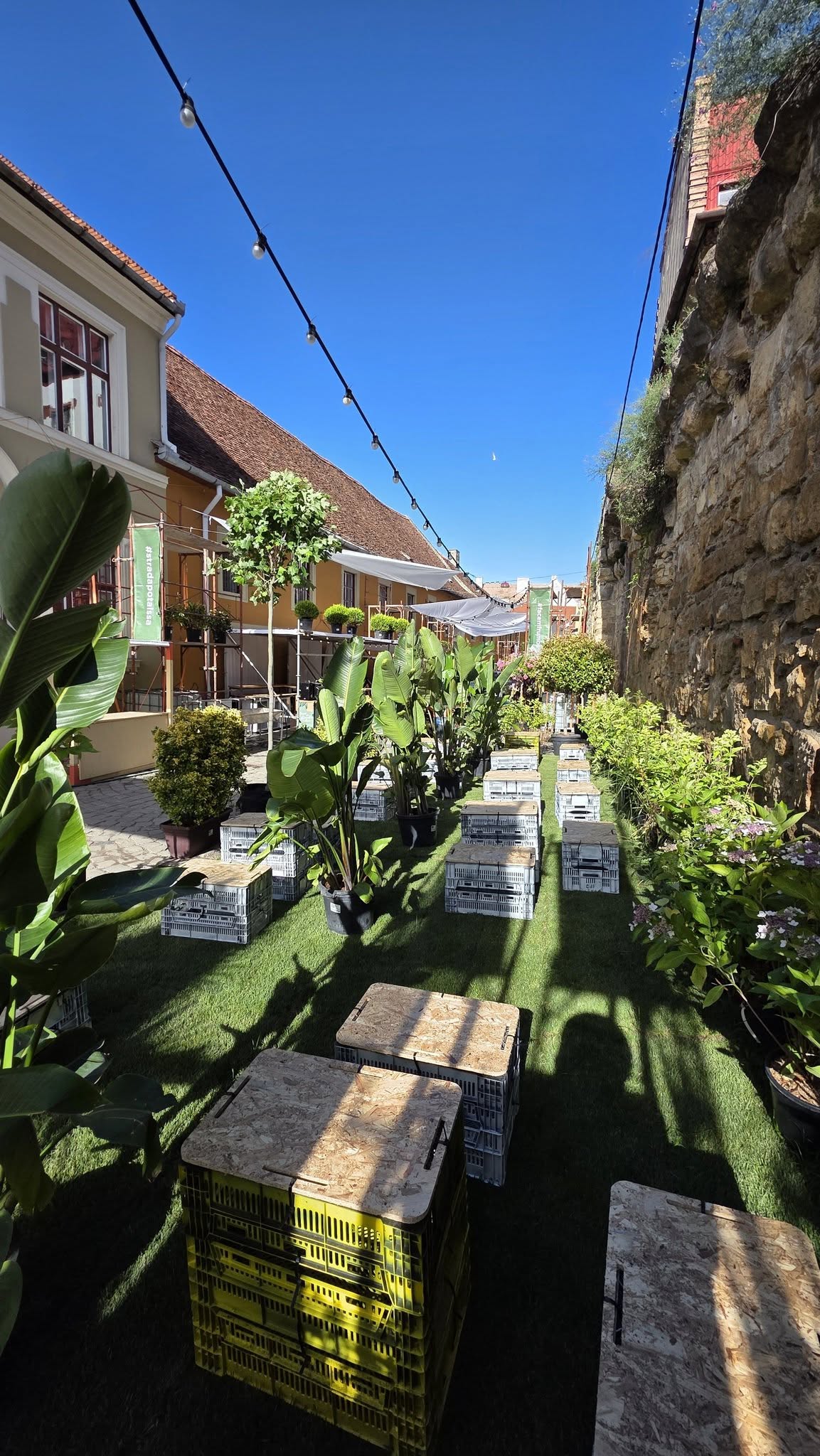 mobilier urban piata de flori strada potaissa cluj