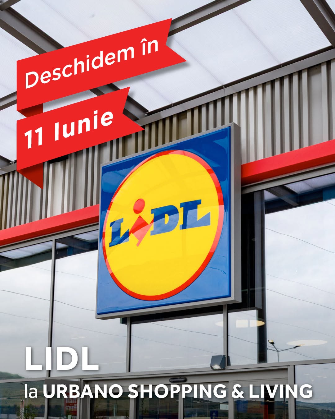 lidl urbano stiri cluj flroesti