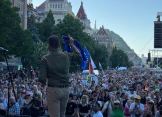 nicu stefanuta 9 mai ziua europei