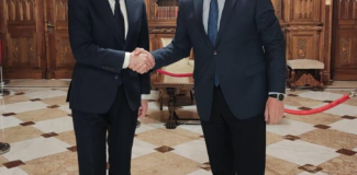 nicusor dan si ilie bolojan romania