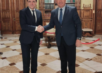 nicusor dan si ilie bolojan romania