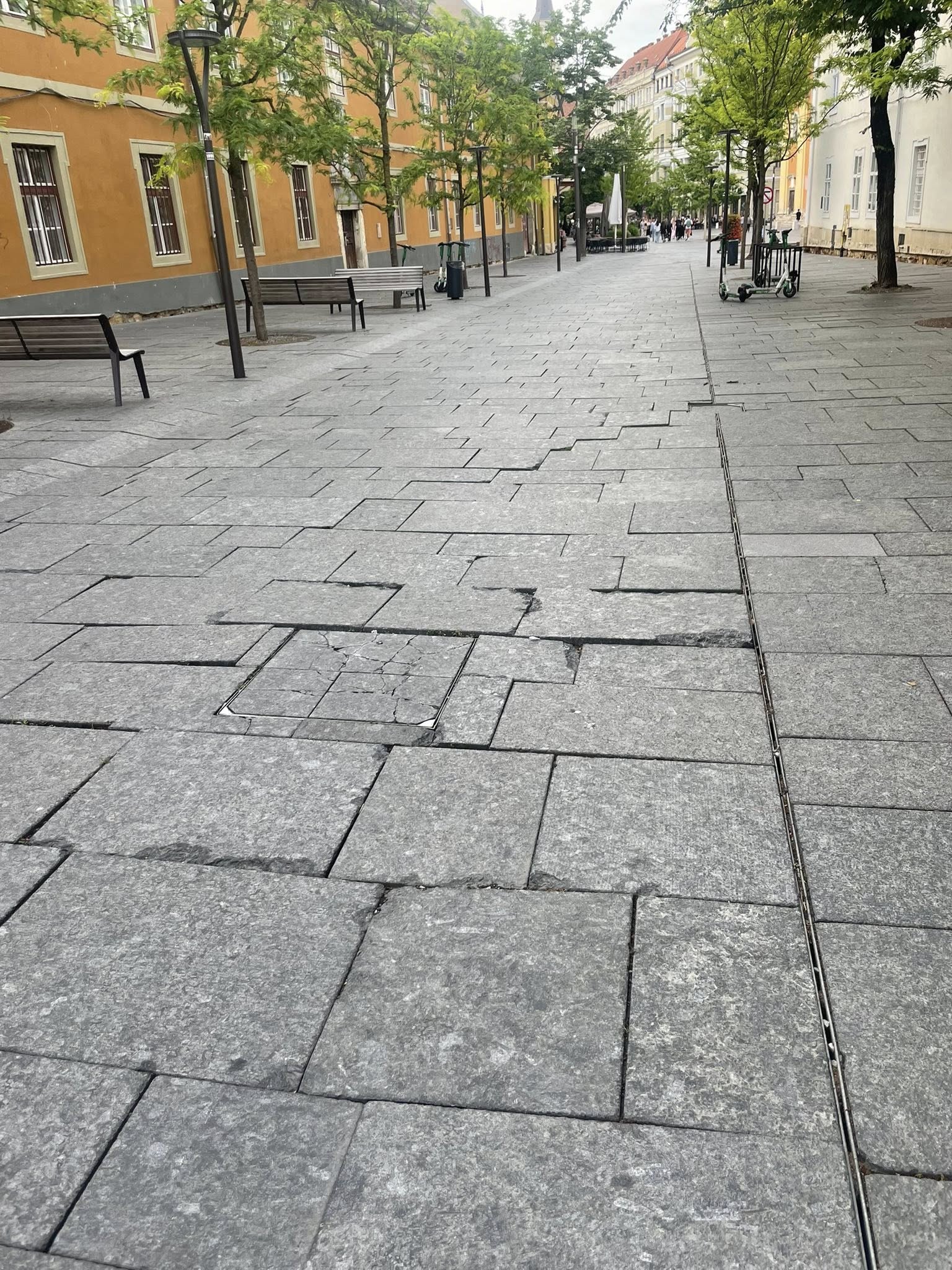 strada universitatii cluj-napoca cluj 1