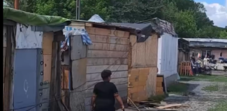 romi pata rat cluj
