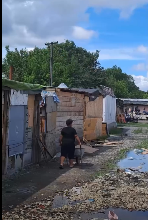 romi pata rat cluj