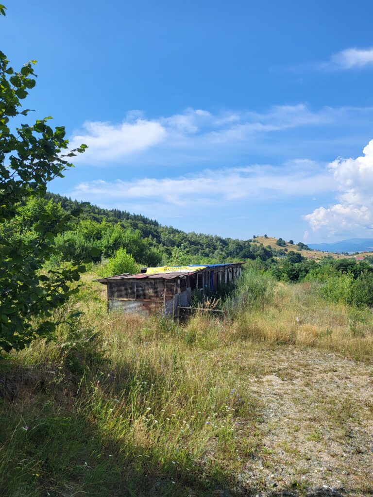 catei ciurila conditii inumane