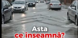 canalizare pluviala flroesti