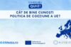 chestionar tineri politica coeziune