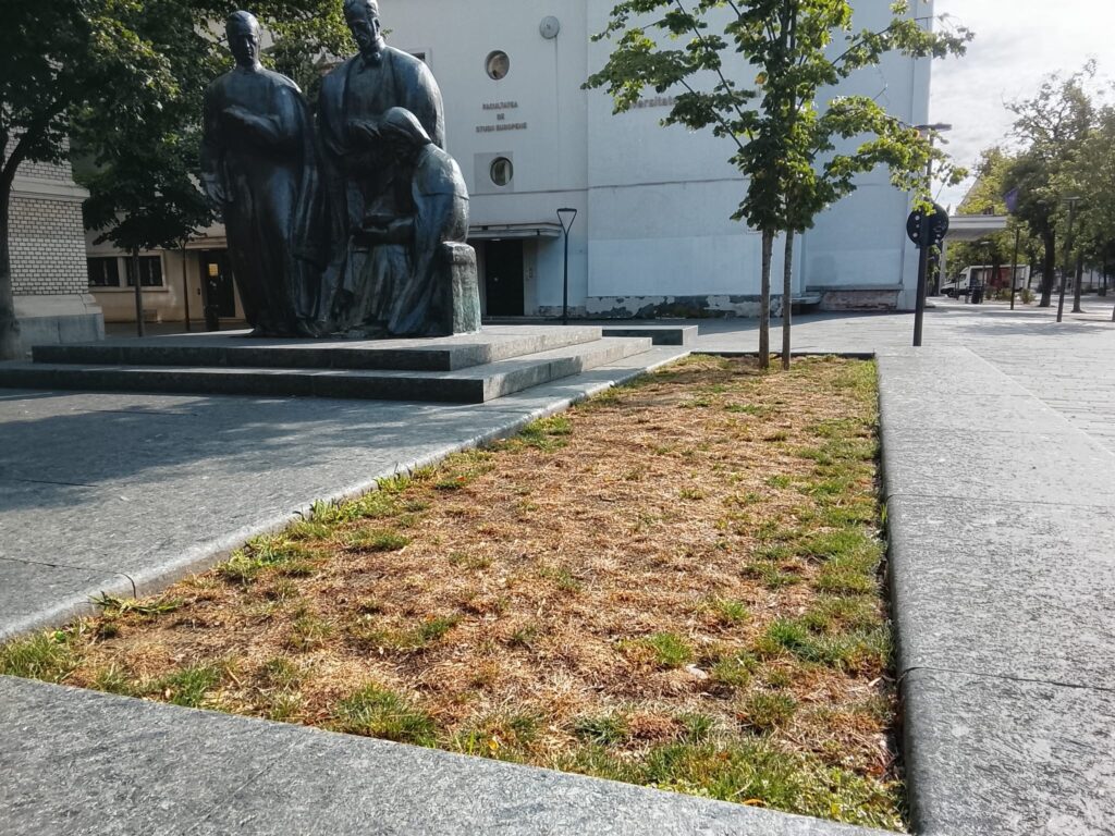 iarba scoala ardeleana cluj