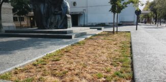 iarba scoala ardeleana cluj