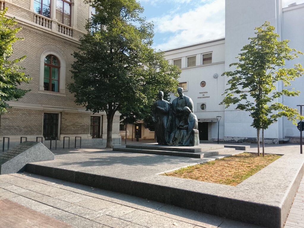 iarba scoala ardeleana cluj 2