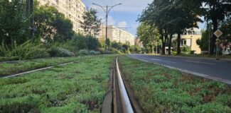 stiri tramvai cluj sine inierbate la resita sau la oradea