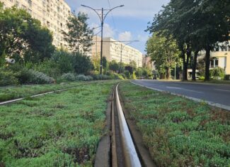stiri tramvai cluj sine inierbate la resita sau la oradea