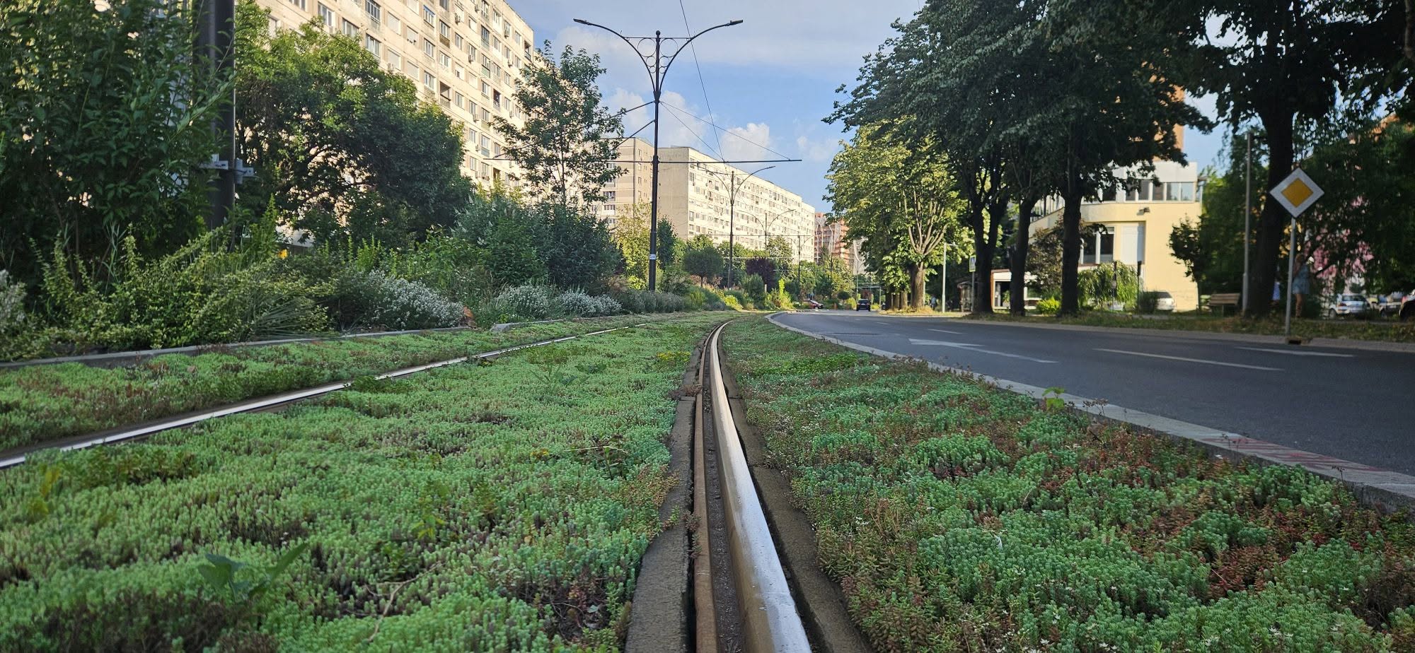 stiri tramvai cluj sine inierbate la resita sau la oradea