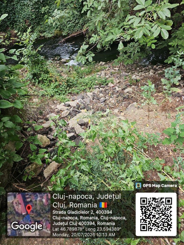 paraie cluj-napoca pline de gunoaie 5