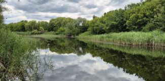 parcul est lacuri serlgros cluj