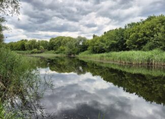 parcul est lacuri serlgros cluj