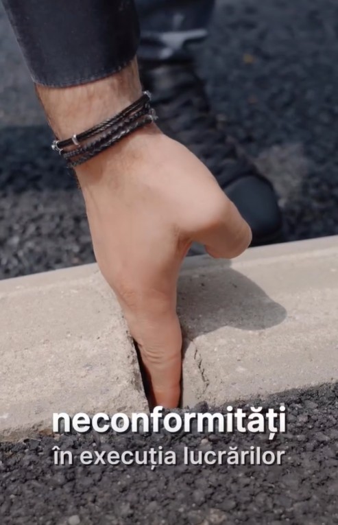 strazi floresti lucrari de proasta calitate crizantemelor tautiului
