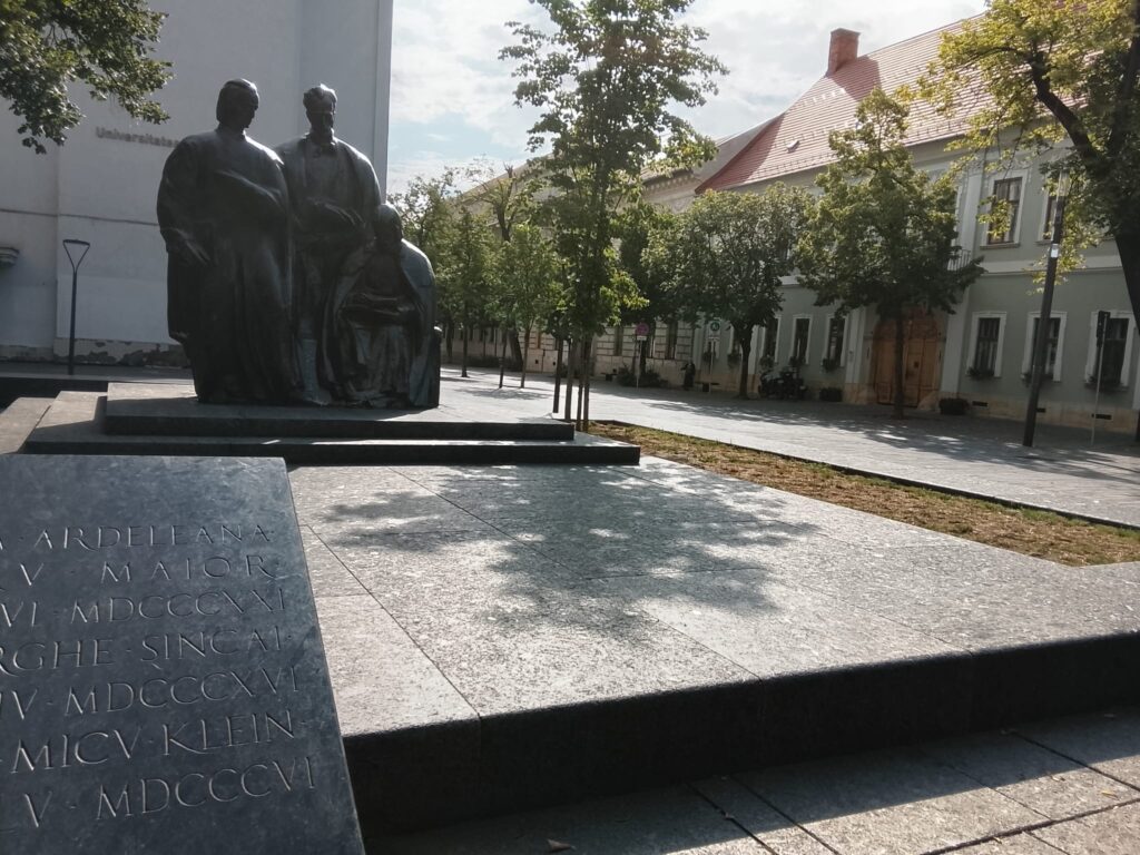 iarba scoala ardeleana cluj 4