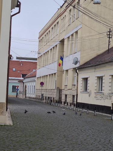 scoala bob cluj-napoca
