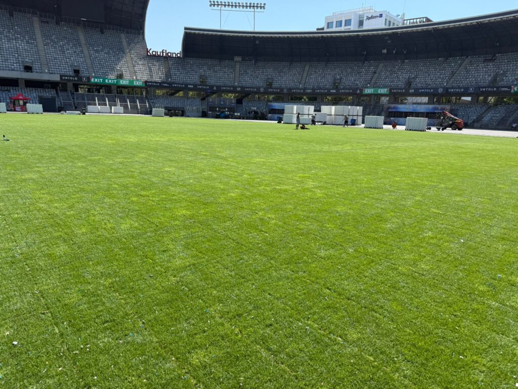 gazon cluj arena cluj